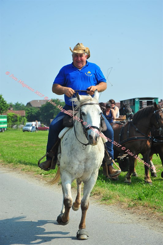 DSC_0778.JPG